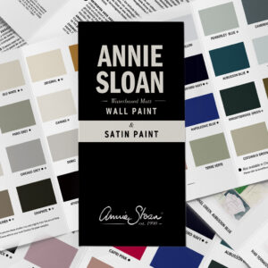 CARTA DE COLORES DE SATIN  PAINT